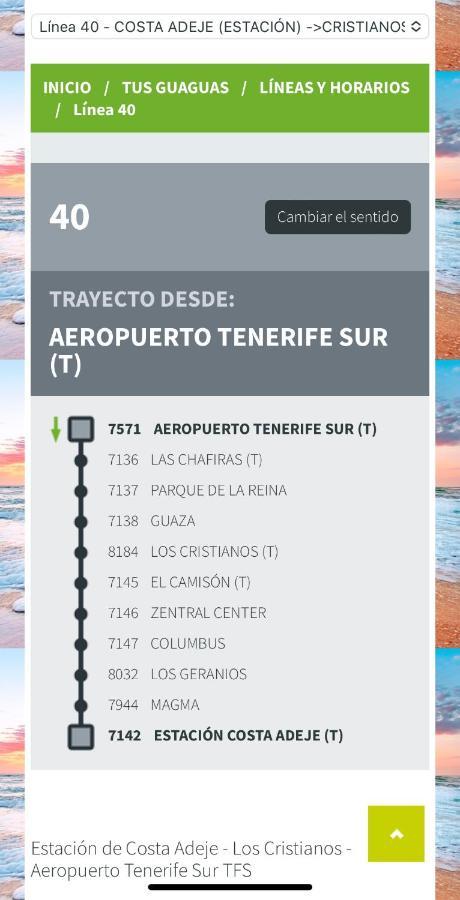 Loft Playa Torviscas,Garaje Gratis , Recien Reformado Costa Adeje (Tenerife) Εξωτερικό φωτογραφία